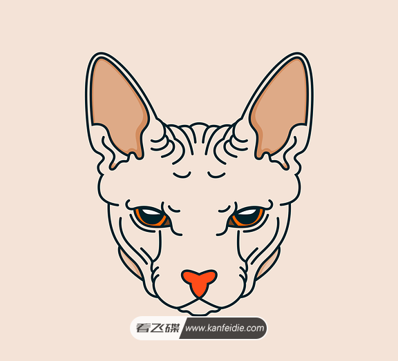 斯芬克斯猫又称加拿大无毛猫,是一种长相奇特,浑身布满褶皱的猫咪。今天带来的就是斯芬克斯猫的手绘插画素材,扁平化的风格简约却不简单。