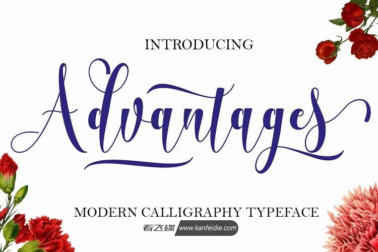 彩带般的英文书法花体字免费下载 calligraphy typeface
