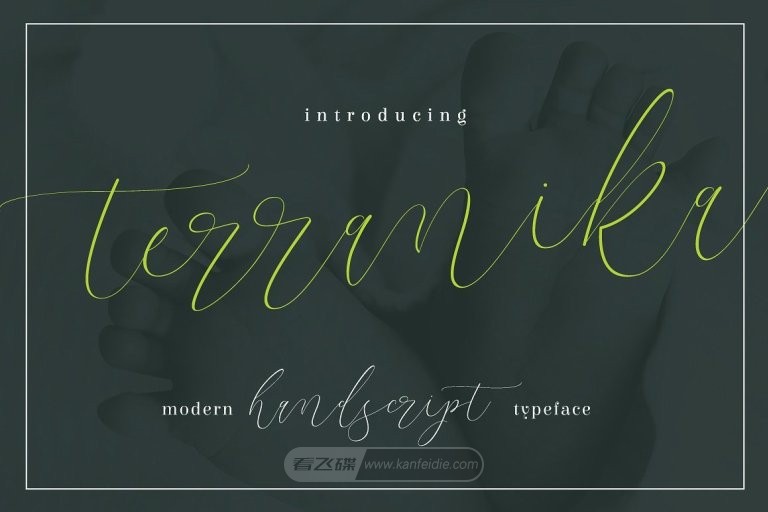 Terranika超细线条的连笔手写英文字体