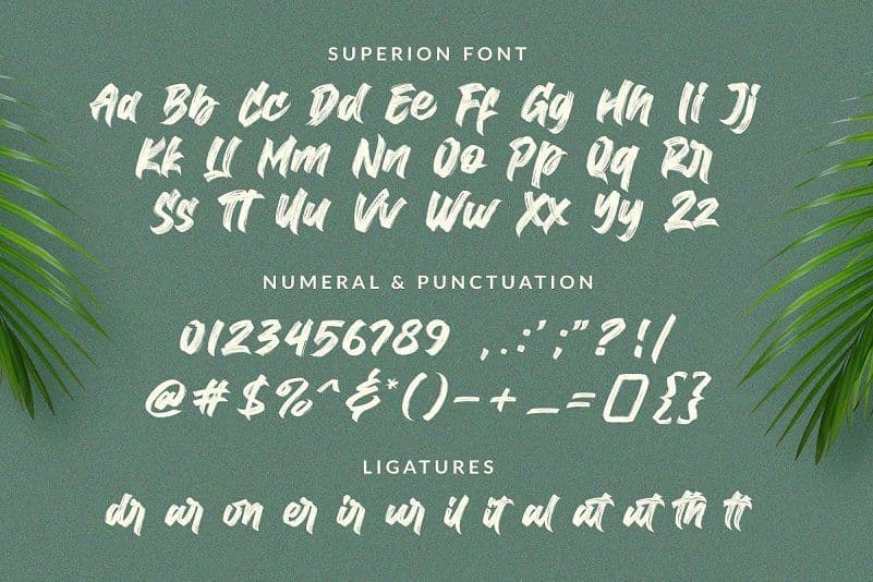 Superion水墨毛笔风格PS英文字体