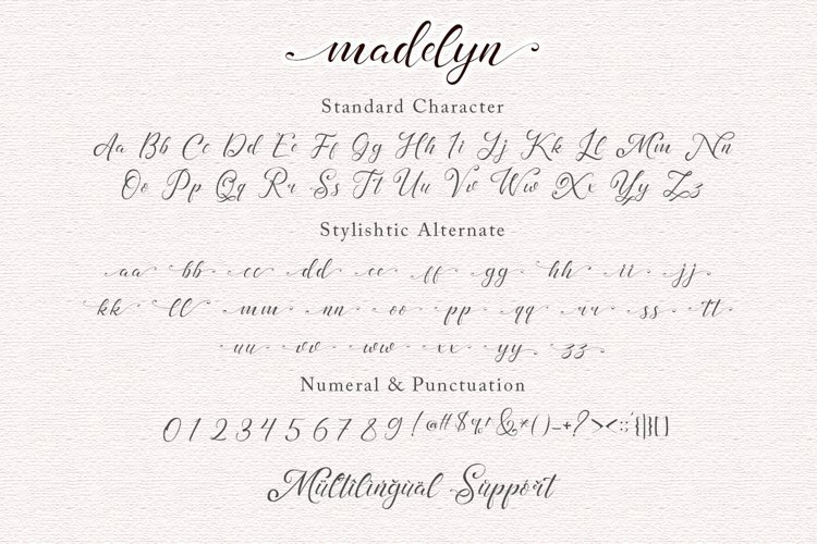 Madelyn Chic好看的花体艺术英文字体