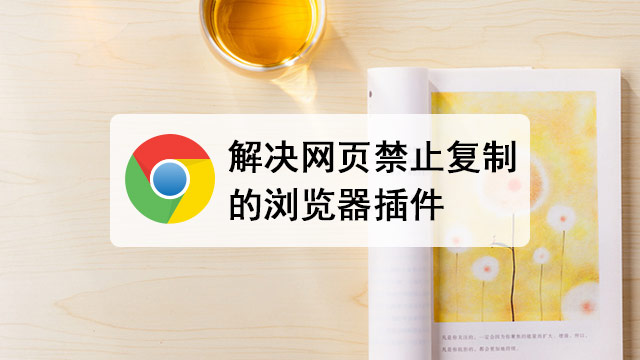 浏览器插件-解决网站禁止右键复制Enable Copy V1.26下载
