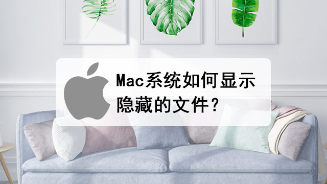 Mac OS系统显示隐藏文件的详细方法步骤
