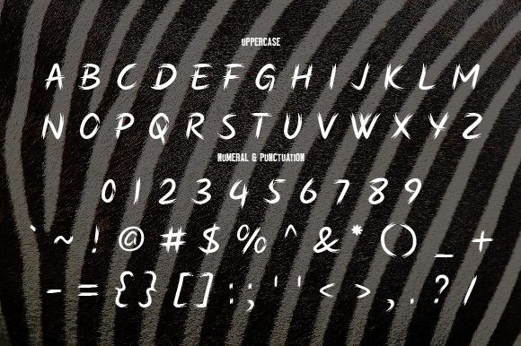 粗犷有力的手写毛笔刷ps英文字体